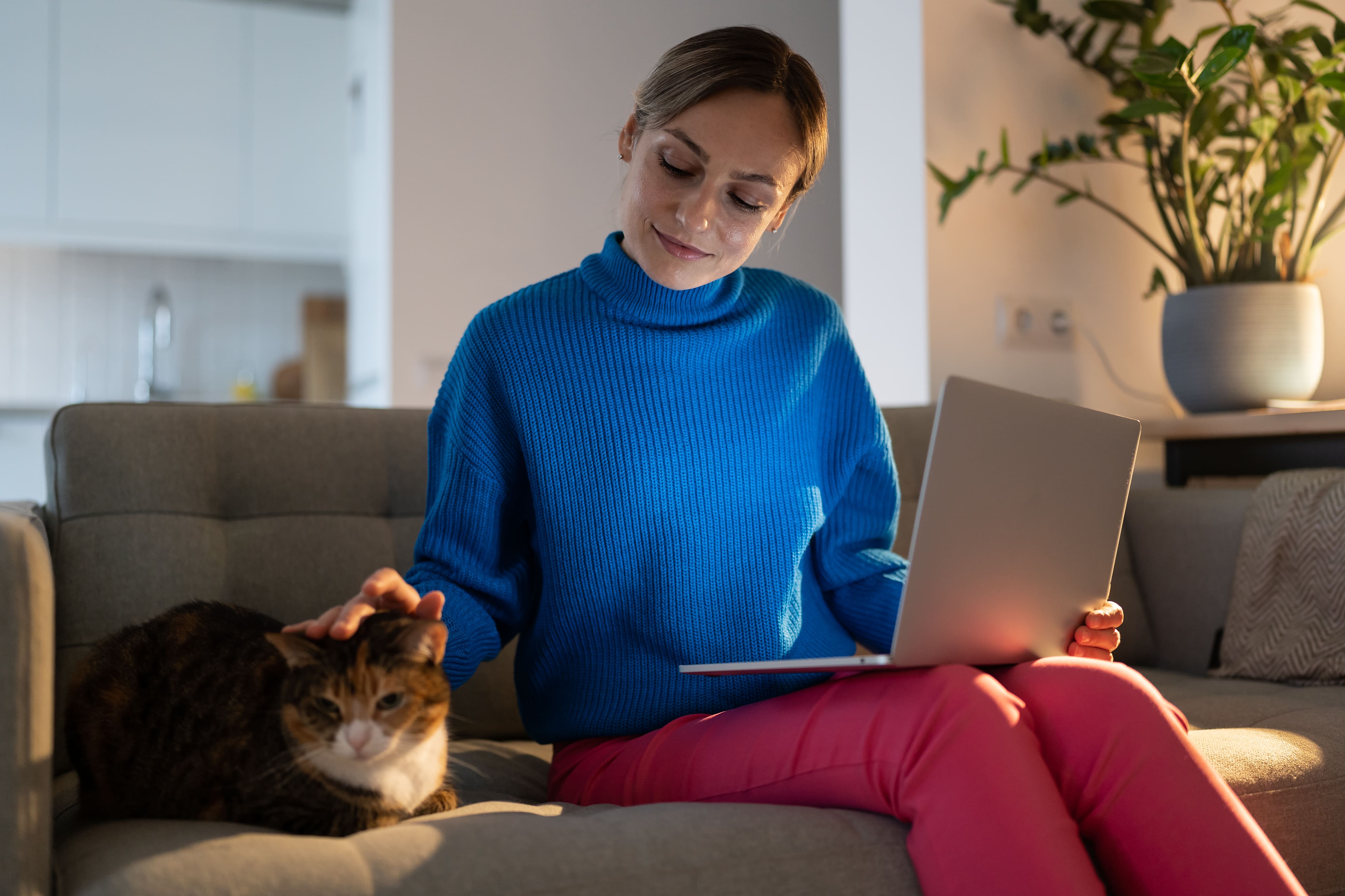 Mulher trabalhando em laptop ao lado de um gato.